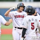 주먹이