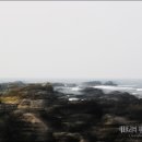 큰물도 네이버블로그