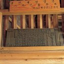 성곡동 802-5~성곡동 726 주변 | 경남 합천 해인사