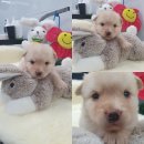 외동열매지역아동센터 이미지