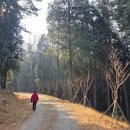 임내등산로 이미지