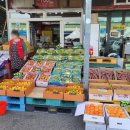 안동농협농산물공판장 | 안동농협 농산물공판장 _ 10월 많이나오는 품목 추천하는 가게