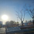 메리놀약국 | 4월 부산중앙동 꽃집 일상- 바우노바,이재모피자,범천동 횟집