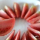 한마음토마토 이미지