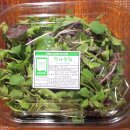 옥정초등학교 이미지