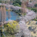 연지공원 이미지