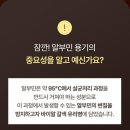 이선 카카오 검색결과