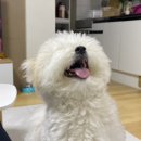하송힐링하우스