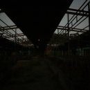 해님축사 이미지