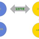 파인드 핏 이미지