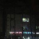 금쪽금쪽금쪽반려동물병원 이미지