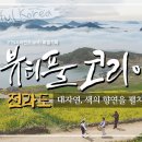 전라도_대자연, 색의 향연을 펼치다 [4K UHD버전 뷰티풀 코리아.3부] 이미지