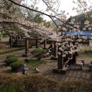 경기도 수원시 영통구 월드컵로 이미지