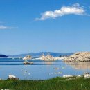 켈리포니아 이미지