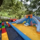 (주) 수퍼트리 이미지