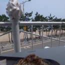 설보리 이미지