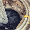 부림동-1 이미지