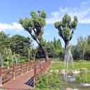 인천영선초등학교 이미지