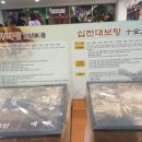 제천약초시장 이미지