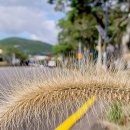 서호동-4 이미지