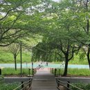 새동안길 이미지