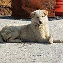 쭈쭈농장 이미지