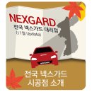 양덕동273 이미지