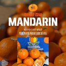 만다린 - 광주시 고불로279번길 17-1 | 만다린