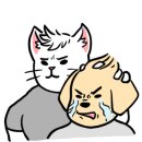 제트 컨디셔닝 이미지