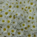 영일 당구장 이미지