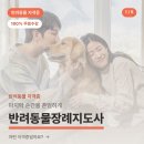 펫로스 케어 | 반려동물장례지도사 하는 일·전망·취득 방법 어떤게 있을까? (자격증 무료수강 후기)