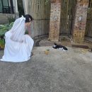 수원-0633 | 수원 웨딩홀 본식 DVD 따로 계약한 스튜디오0633 예약 후기