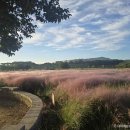 경주(부산)휴게소 화장실 이미지