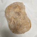 상대동7 | 대전 상대동 빵집 베이커리하모니 샌드위치 맛집 내돈내산 솔직후기