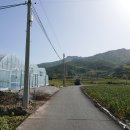 광석마을회관 이미지