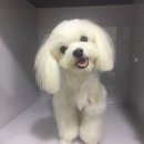 우장산동물의료센터 이미지