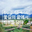 창동로 | 포천 한탄강 가든페스타 후기 - Y자 출렁다리 스릴과 가을꽃 여행