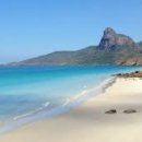 파라다이스 이미지