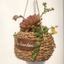 바구니농원 이미지