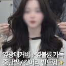 신논현 여자 긴머리 거지존 빌드펌 열펌 뜻 / 손질 / 드라이