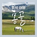 초원포차 | 부산 출발 몽골 단풍 여행 총정리테렐지 5일 (일정 비용 후기 날씨)