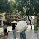 antic and | [스페인 7박 9일] 4일차(25.9.21.) : 바르셀로나 폭우 → 마요르카행 GNV페리(후기)