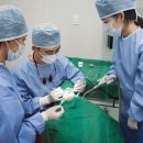 서울더바른치과의원 - 충주시 호암수청2로 10 | 서울더바른치과의원