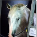 운주산승마자연휴양림 이미지