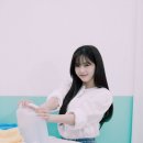 효정세탁소 Daum카페