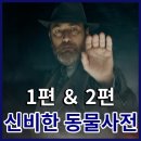 영화 신비한 동물사전 시리즈 신동사1 2편 순서 정보 출연진 평점 후기 리뷰 아쉬웠던 3편