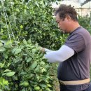 손병곤 농장 이미지