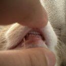 오니하우스 이미지