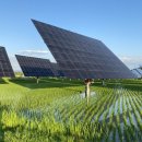 양축농장 이미지