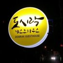 제주에오길잘했다
